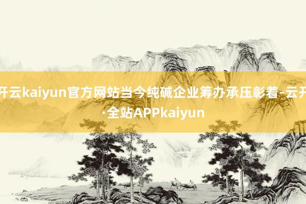 开云kaiyun官方网站当今纯碱企业筹办承压彰着-云开·全站APPkaiyun